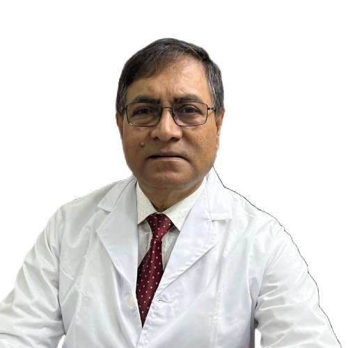 Professor Dr. M A Hamid