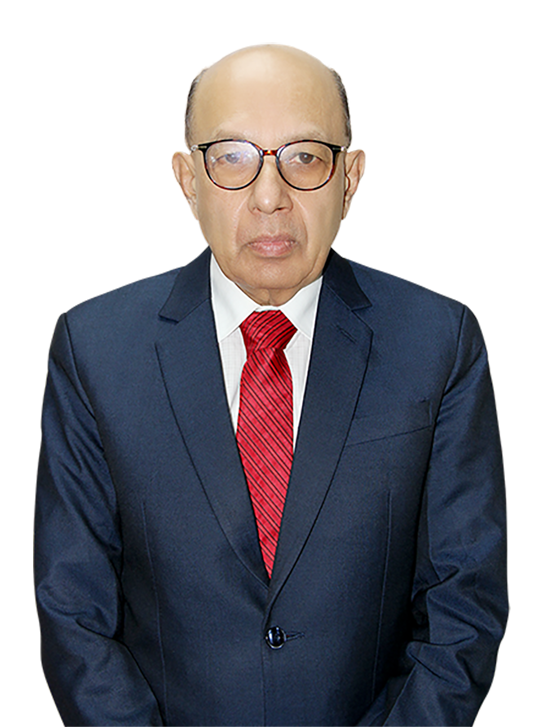 Prof. Dr. Ranjit Roy